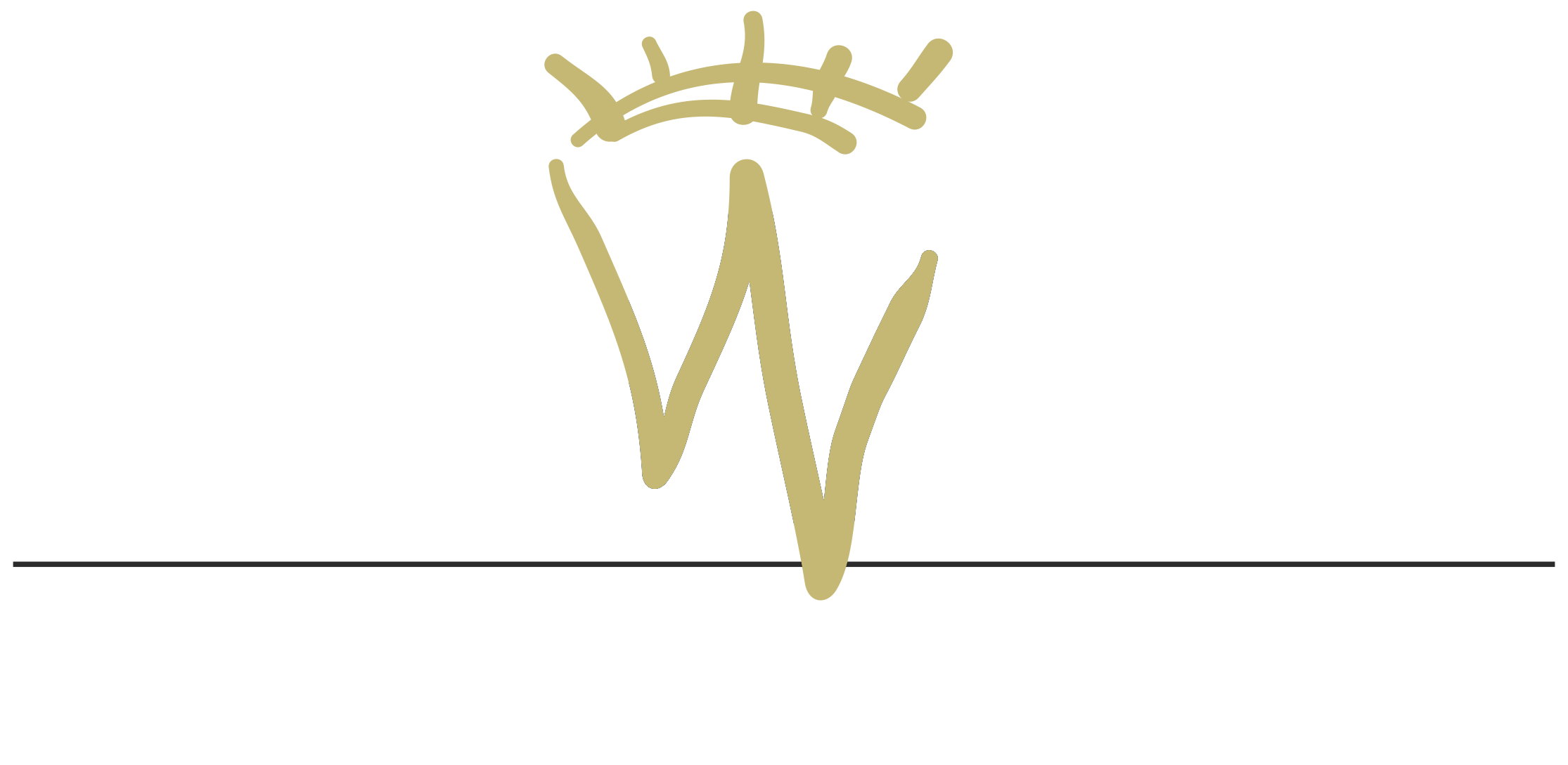 Fundación Wellington